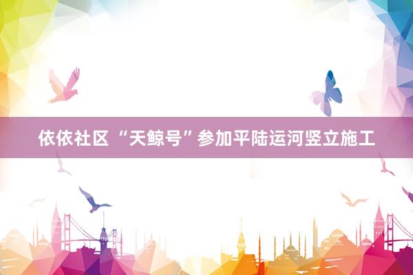 依依社区 “天鲸号”参加平陆运河竖立施工